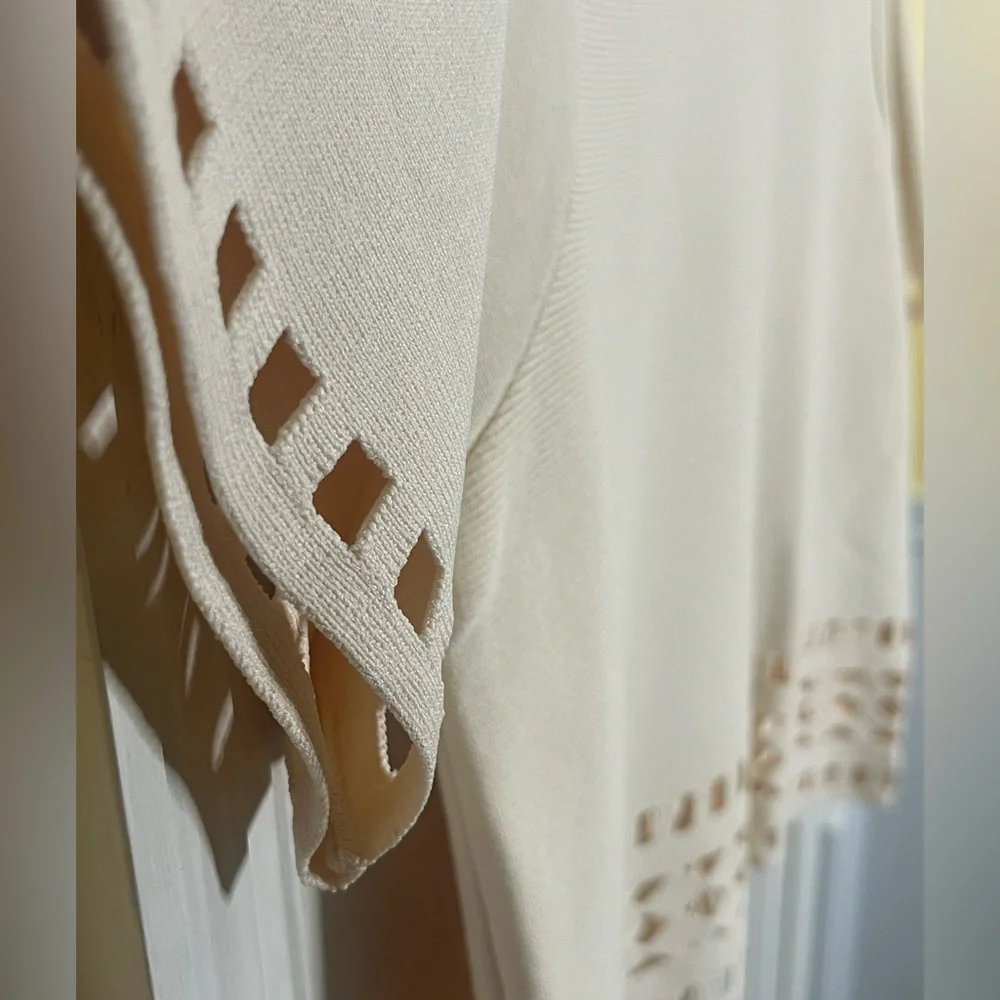 NWT - Rachel Roy Cream Skirt Set - Size XXL This is a rare find and a true 💎! - Picture 8 of 10